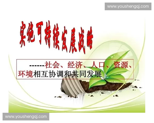 体育资源开发创新模式与可持续发展战略研究探索